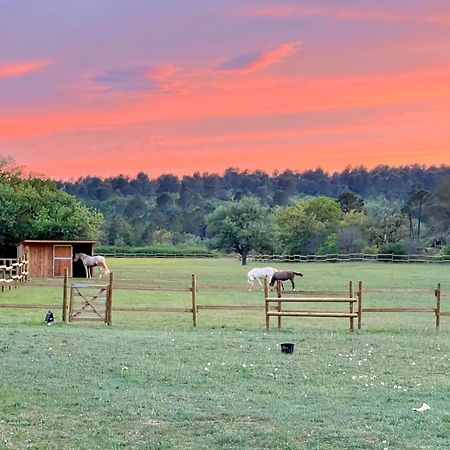 La Cabane De Babarot Aups Dış mekan fotoğraf