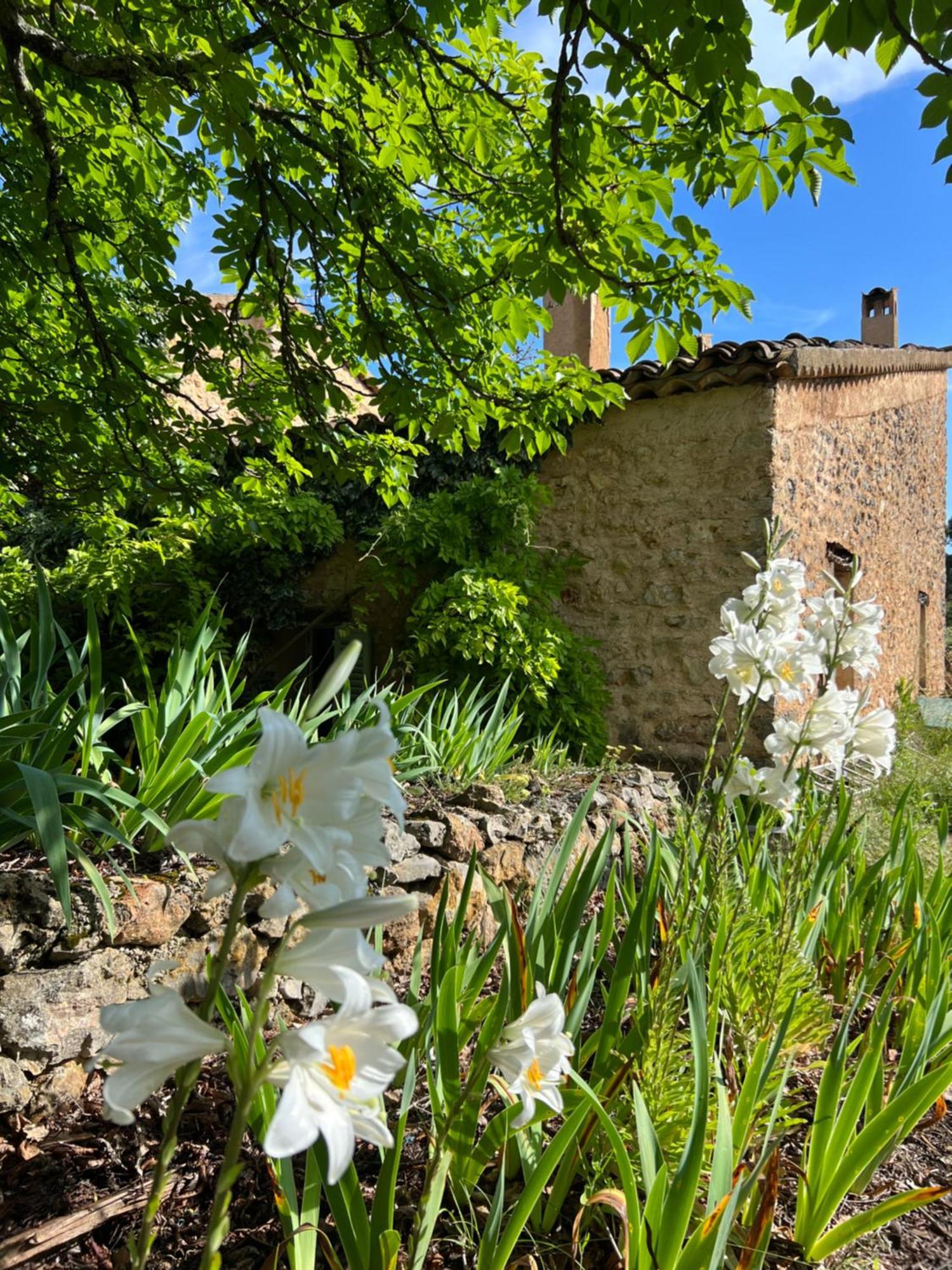 La Cabane De Babarot Aups Dış mekan fotoğraf