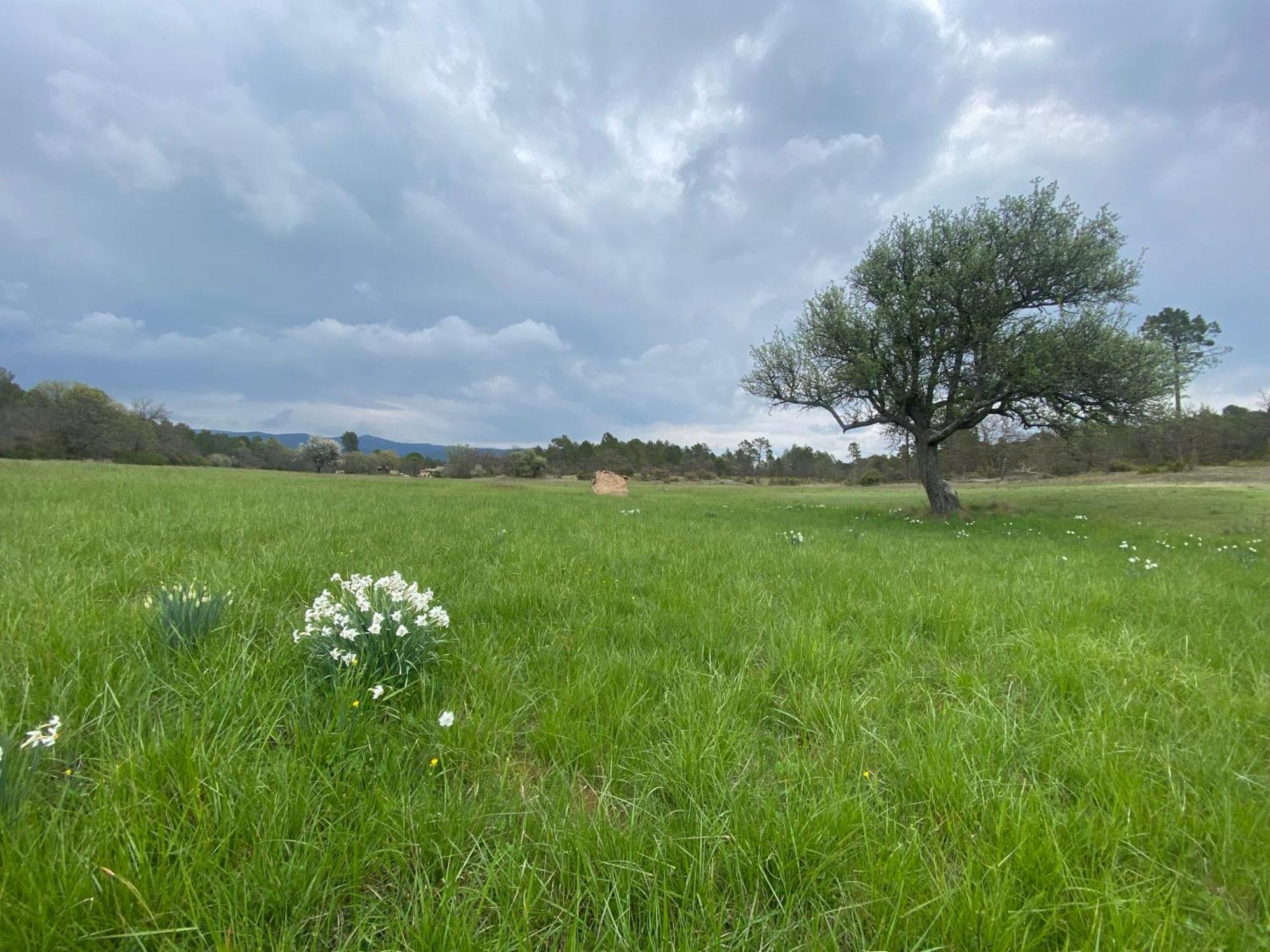 La Cabane De Babarot Aups Dış mekan fotoğraf